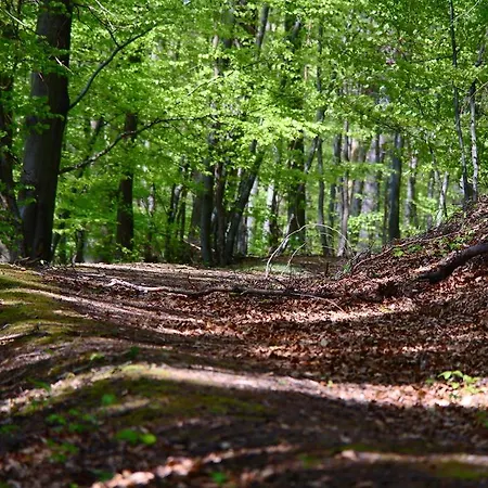 Haus Blick Am Edersee شقة فالديك