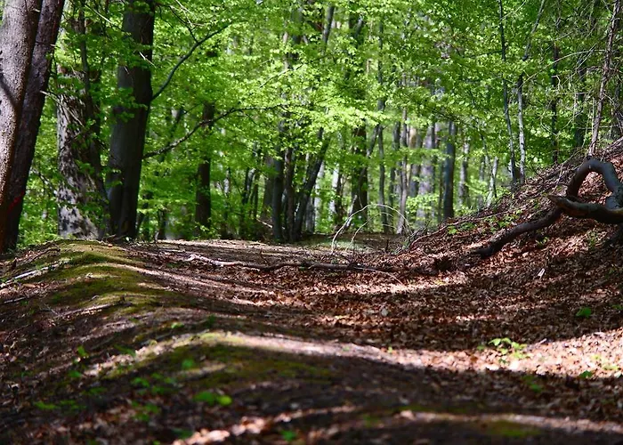 Haus Blick Am Edersee Apartman Waldeck